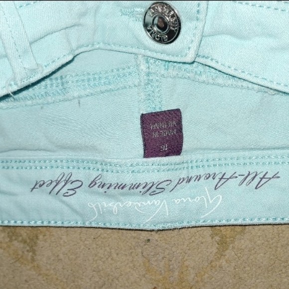 Gloria Vanderbilt turquoise crop pants all about slimming effect size 16 - Picture 4 of 7
